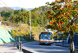 前の坂道・バス